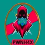 PWNH4X Panel