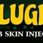 Plugin Injector FF