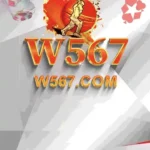 W567 Game