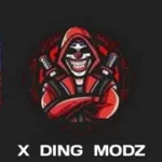 X ding