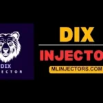 Dix Injector
